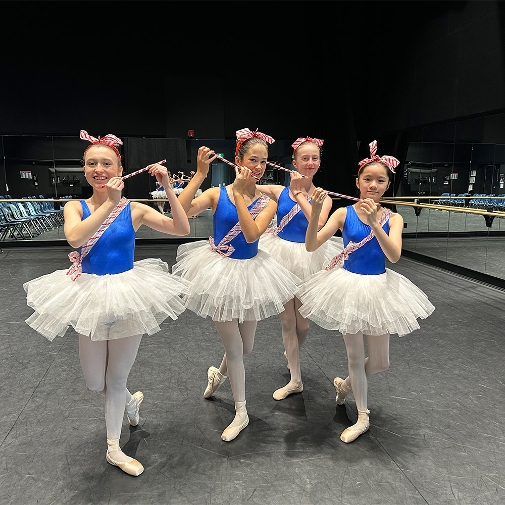 Ottawa Dance Centre School - Ottawa Recreational Vocational Ballet School Royal Academy of Dance - Thank you for your donations